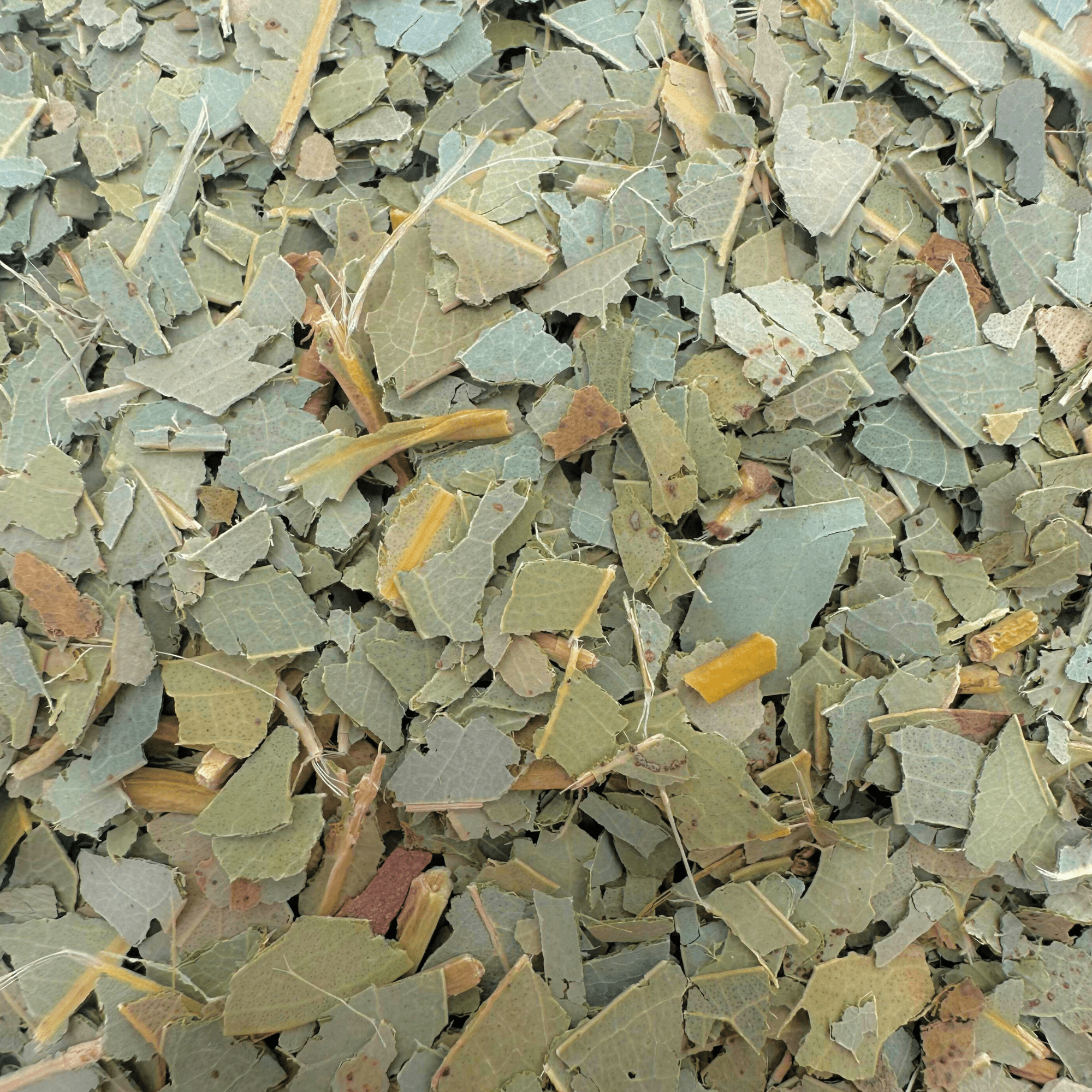 Eucalyptus Tea