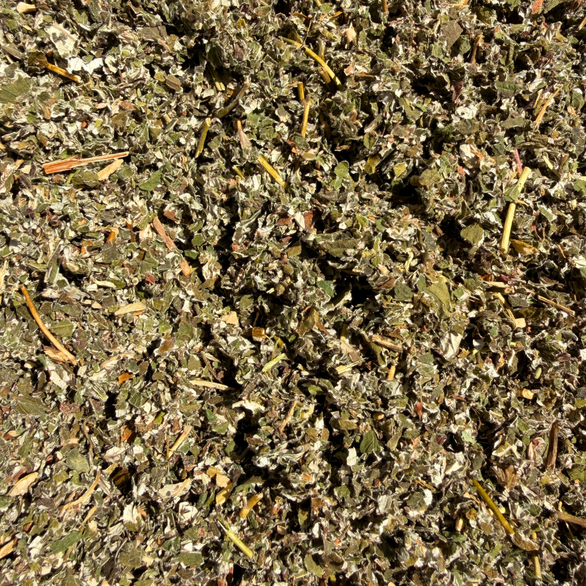 Raspberry Leaf Tea