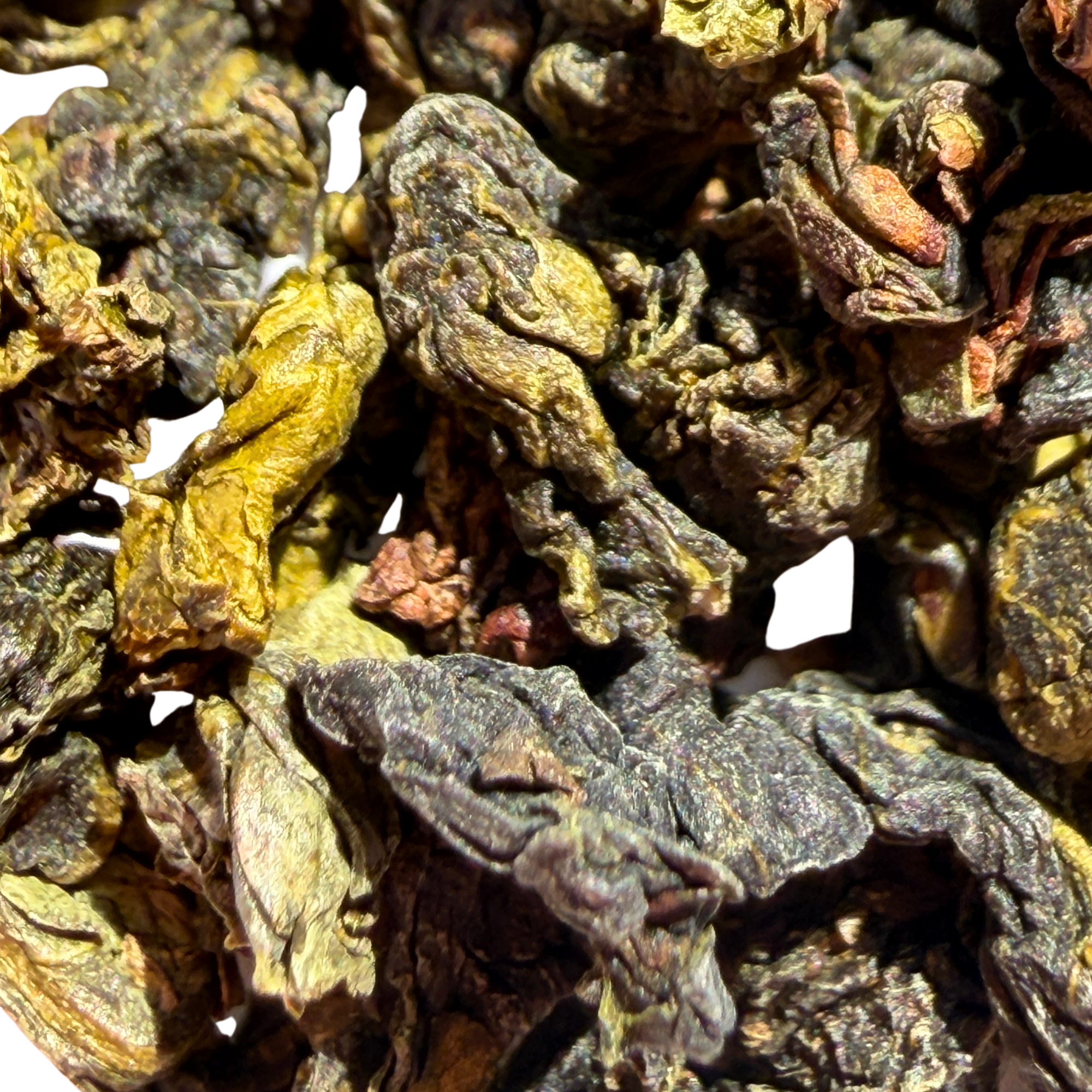 Shangri-La Iced Oolong