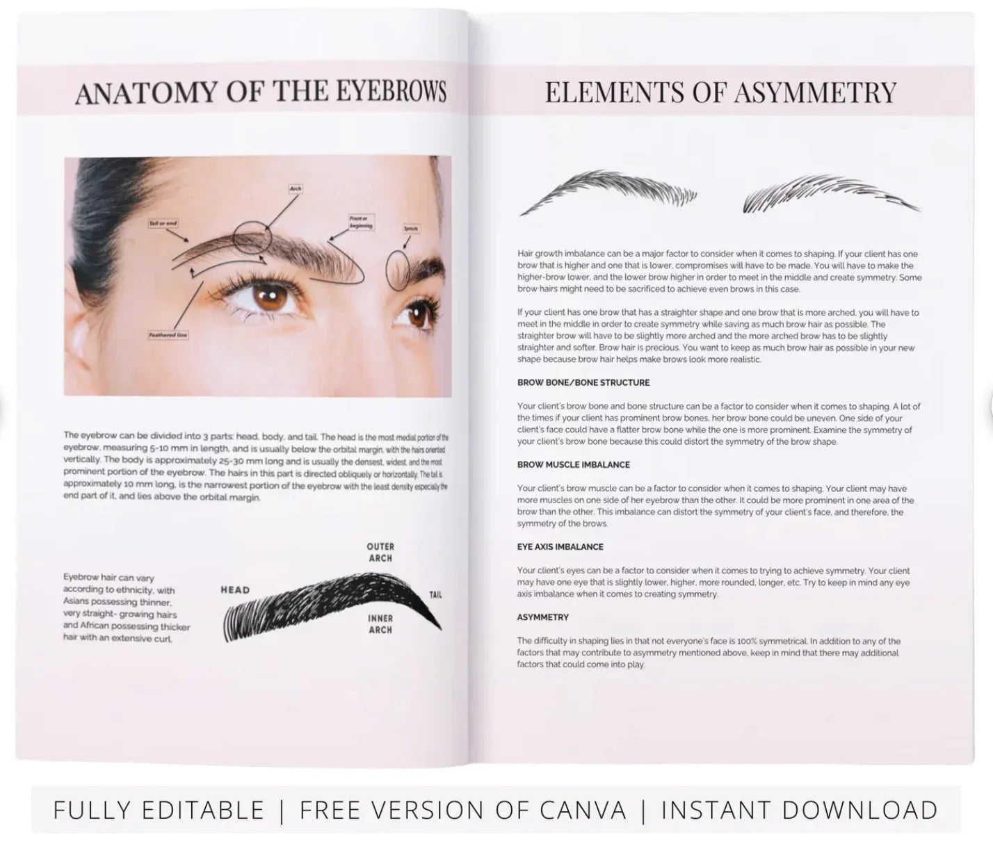Eyebrow Mapping Course Editable Training Manual