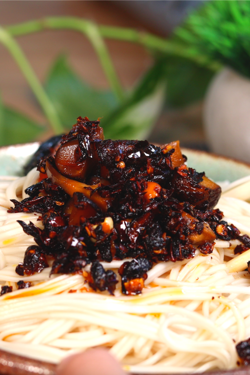 Lao Gan Ma Chinese Mushrooms In Chilli Oil 210g