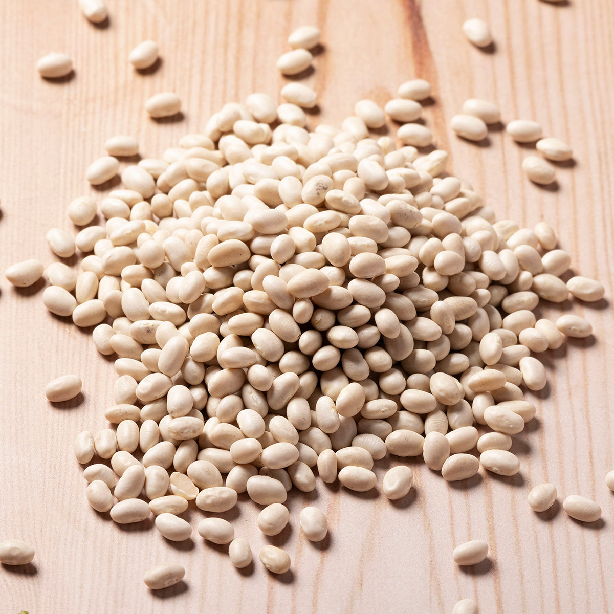 Haricot Beans