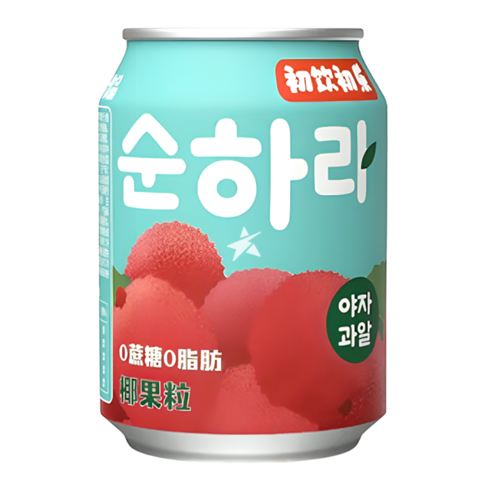 Chu Yin Fruit Drink - Lychee