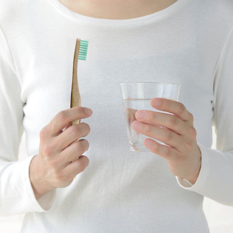 Bamboo Toothbrush Kit