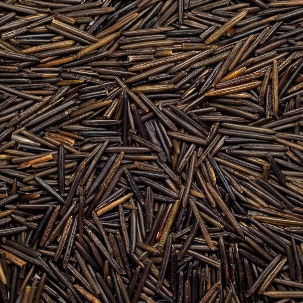 Organic Wild Rice